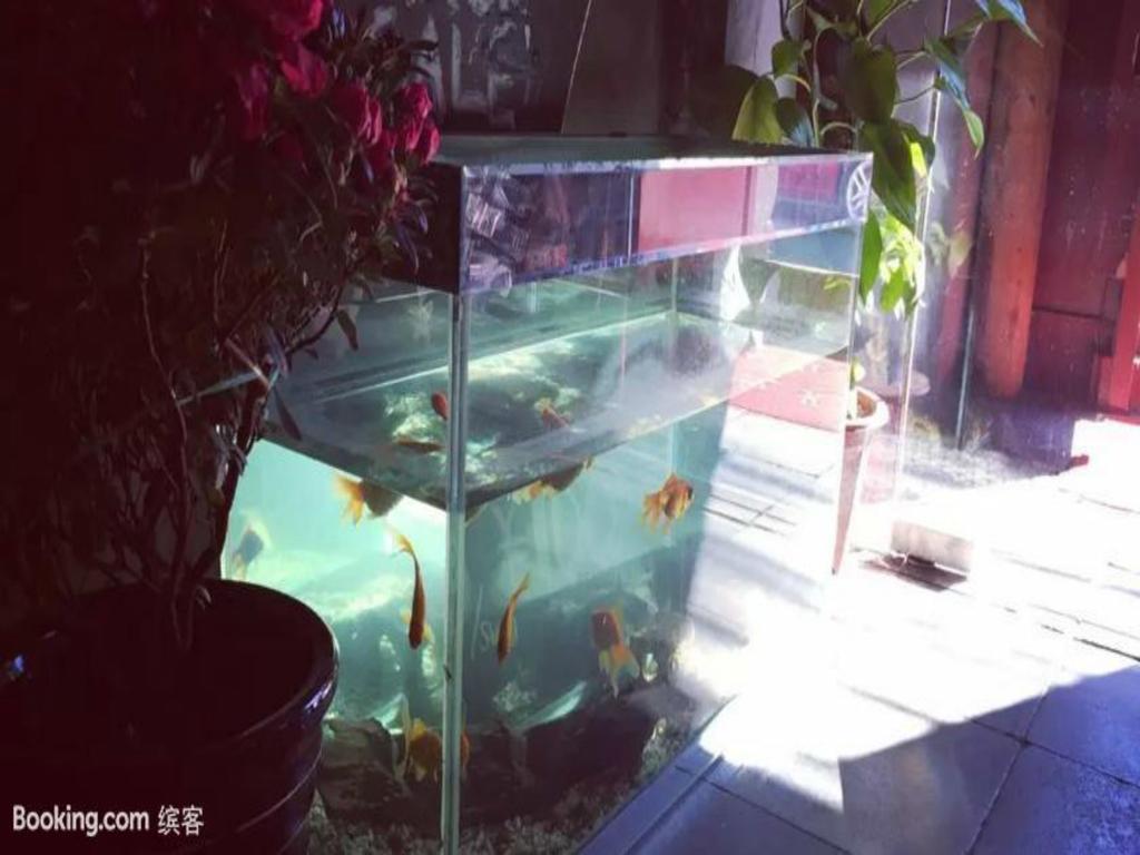Three Legged Frog Hostel Peking Exteriör bild