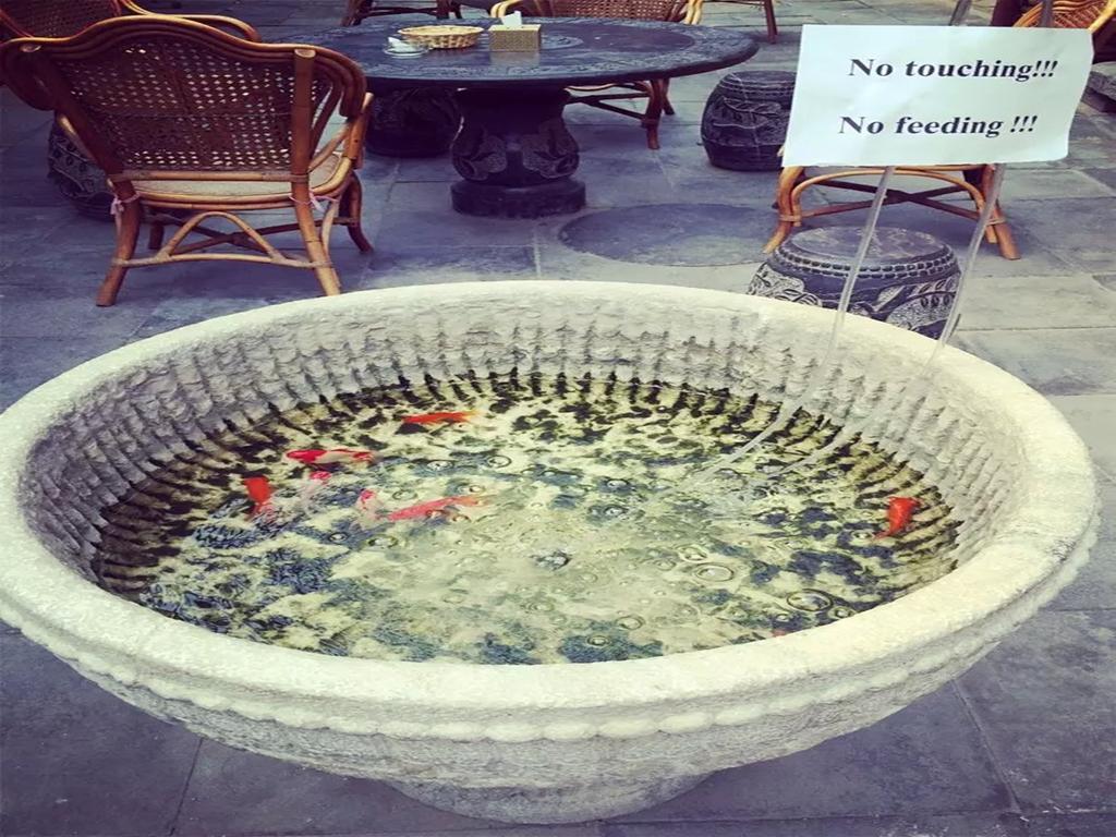 Three Legged Frog Hostel Peking Exteriör bild