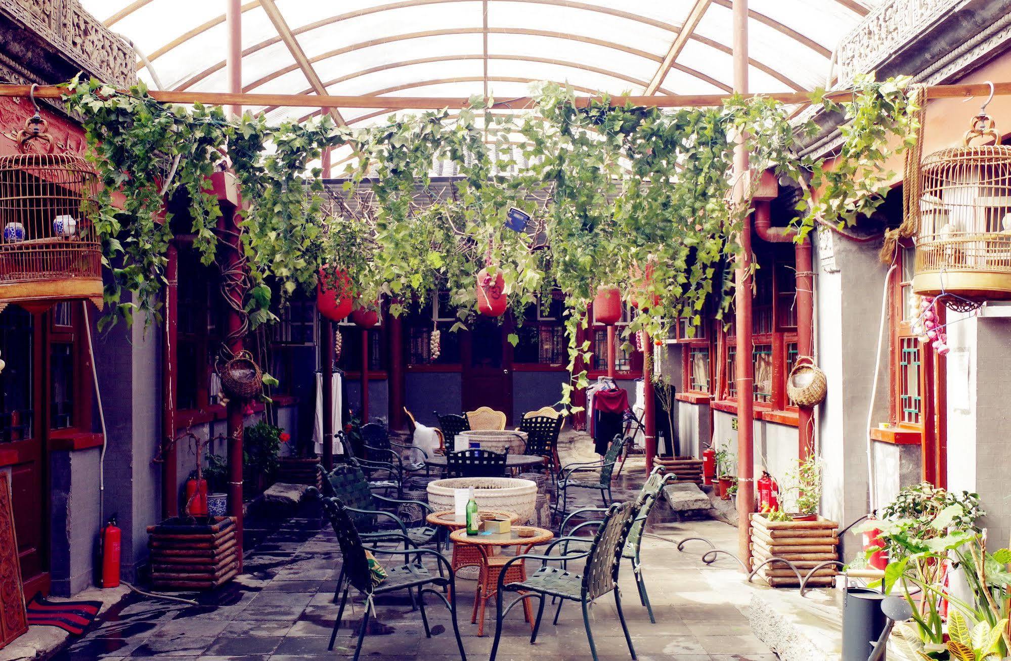 Three Legged Frog Hostel Peking Exteriör bild